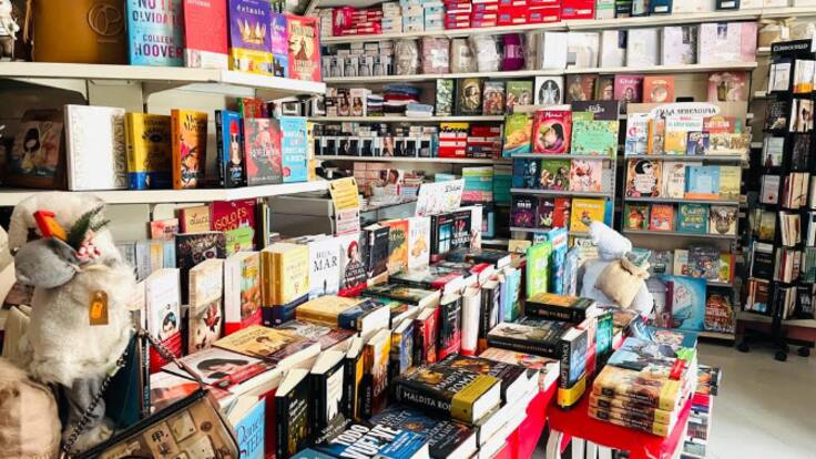 La Maestra y el Pintor - Villa Serendipia