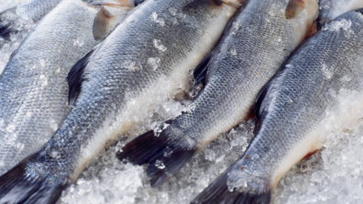 Samuel Naveira, poniendo un toque leonés a Madrid Fusión 2024 (29/01/2024)