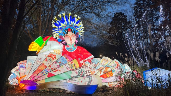 "Será un espectáculo único en el mundo" Álvaro González, Ximenez Group