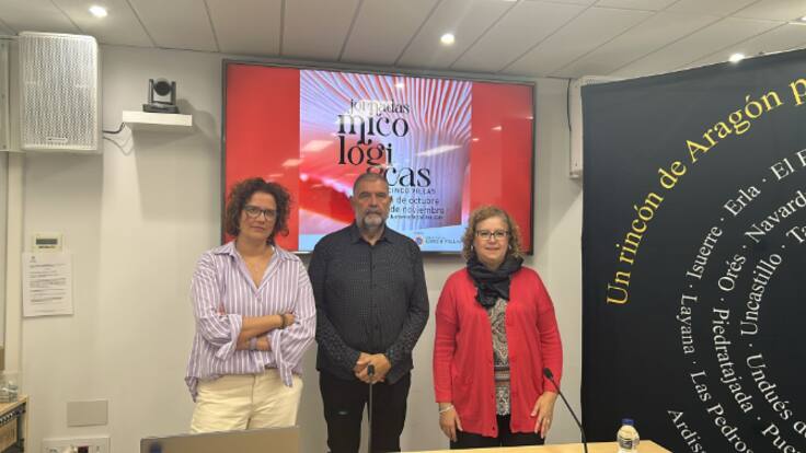 Jornadas Micológicas en Cinco Villas