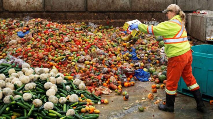 Catalunya malgasta l'aigua de 12.000 piscines olímpiques per produir aliments que ningú no es menja