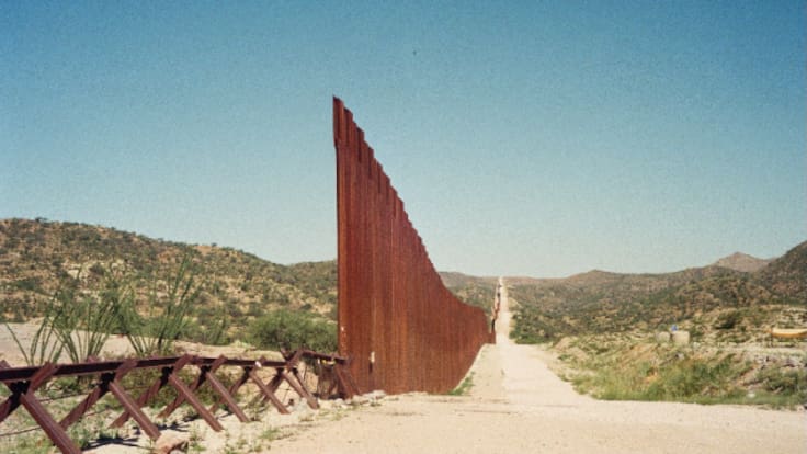 La muerte y la vida en el desierto de Sonora