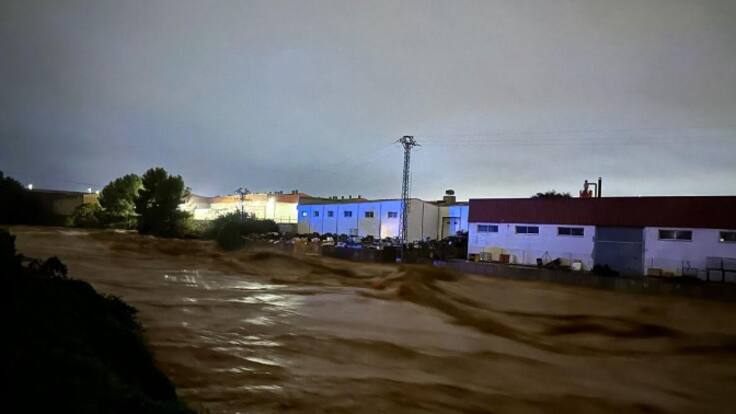 Entrevista Laura Rol, cartagenera desde Valencia (Torrent)(2024-10-30)