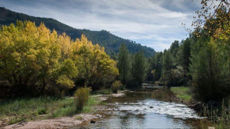 De Campillos-Paravientos a Cardenete: ruta por el tramo central del río Cabriel