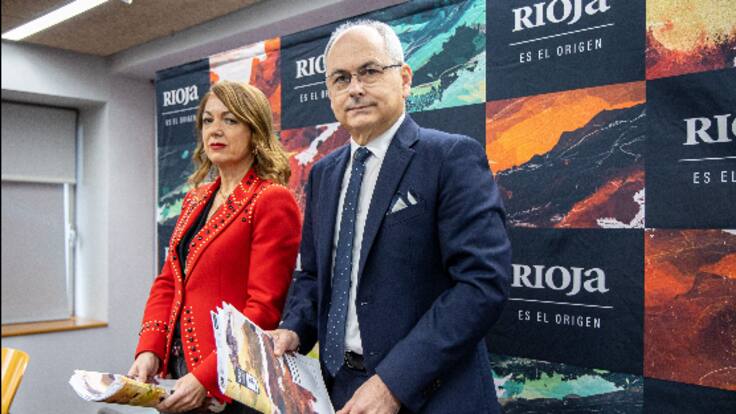 Lapuente, director general de la DOCa Rioja sobre la sentencia a 'Viñedos de Álava': "El daño ya está hecho"