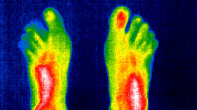 El termómetro interno que nos mantiene con vida