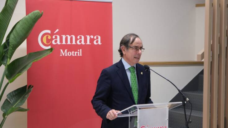 Julio Rodríguez, presidente de la Cámara de Comercio de Motril