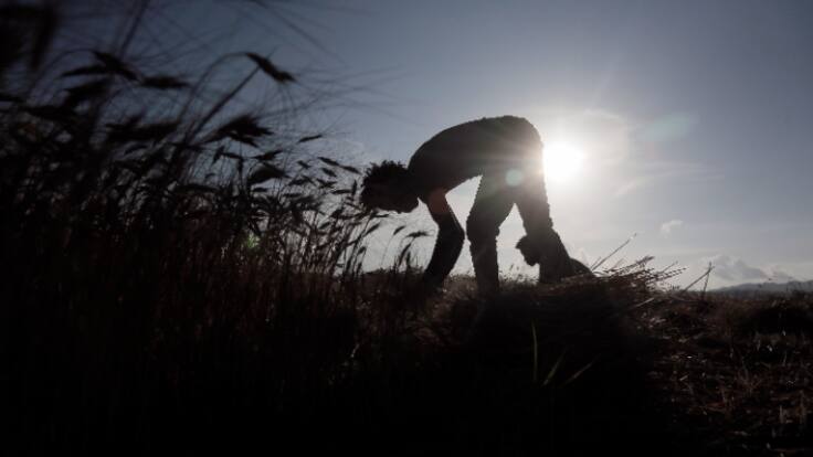 Entrevista Mohammed Kebaili, director territorial de Accem en Hoy por hoy Cartagena