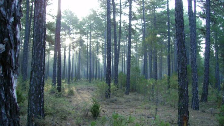 Ruta por Los Palancares para celebrar el solsticio de invierno en Cuenca