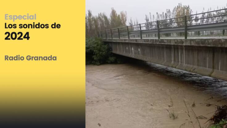 Los sonidos del 2024 en Granada: especial resumen fin de año