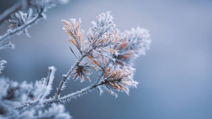 Con mucho retraso, el invierno llama a la puerta de León (20/02/2024)