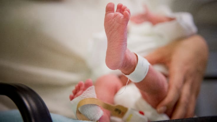 Punto y 25 | Registros a la baja