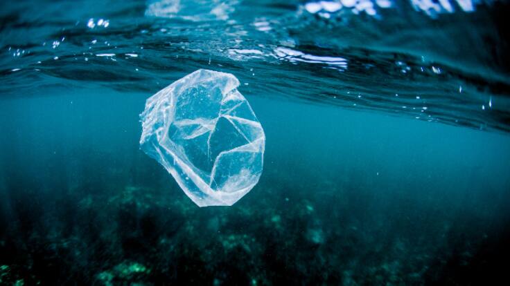 Nuevos Tiempos 1x05 | Mares contaminados: "Empezamos a mirar las consecuencias de nuestros actos"