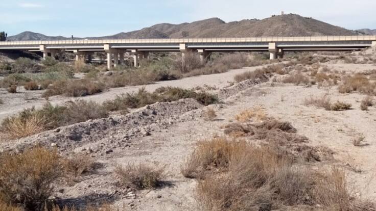 Cayetano Padilla, presidente AA.VV de la pedanía Lorquina de Torrecilla.
