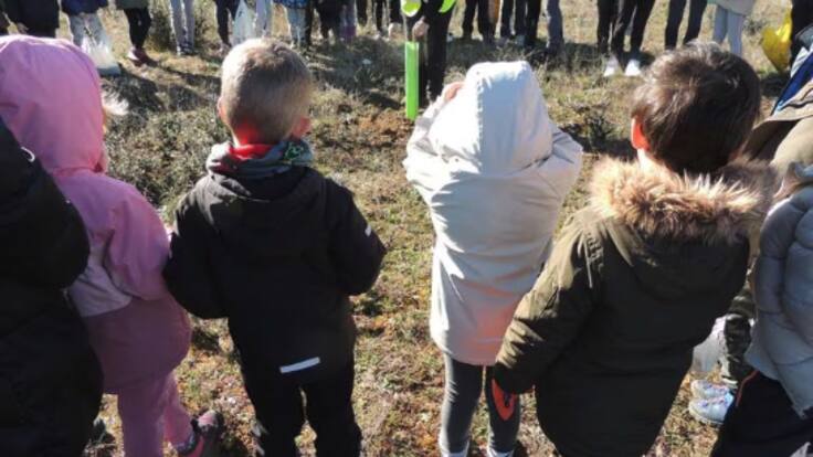 Un bosque de cuentos en el Hoyuelo