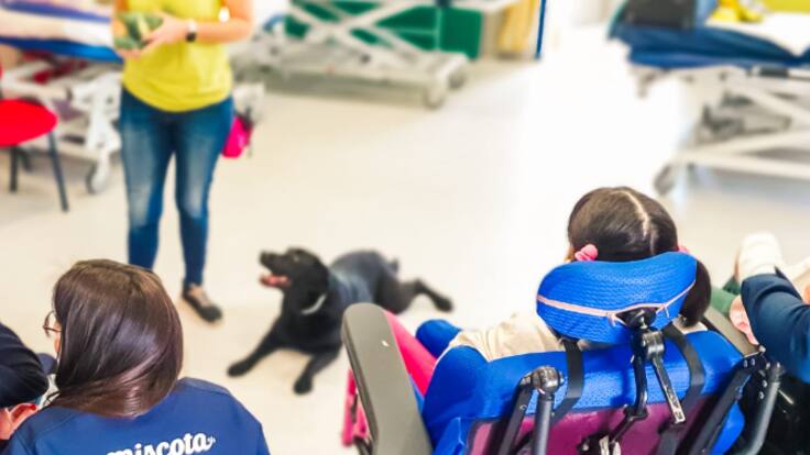 Reportaje en la Fundación ACAVALL en un centro infantil con niños con parálisis cerebral de Cruz Roja