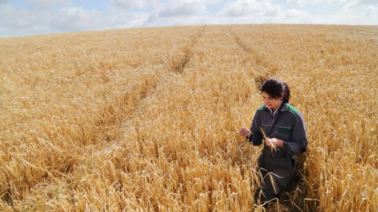 Las tierras gestionadas por mujeres apenas reciben 3 de cada 10 euros de la PAC (09/03/2024)