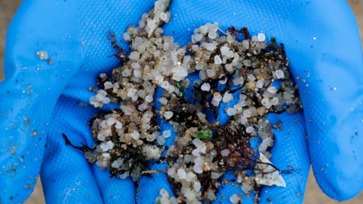 3 meses de la llegada de los pellets a Galicia. Hablamos con Cosme Damián Romay, de GN Habitat,