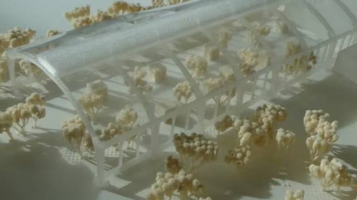 Los vecinos de Zabala temen que si no hay equipamientos en la zona de la trinchera ésta siga siendo una zona insegura cuando se cubran las vías del tren