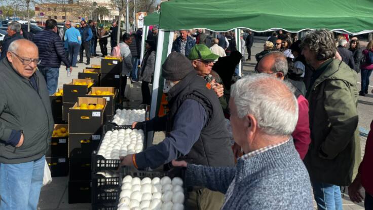 Limones, cebollas o ajos gratis: nueva jornada de protestas de los agricultores en Toledo