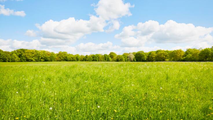 Días de tiempo primaveral y una Semana Santa con dudas (19/03/2024)