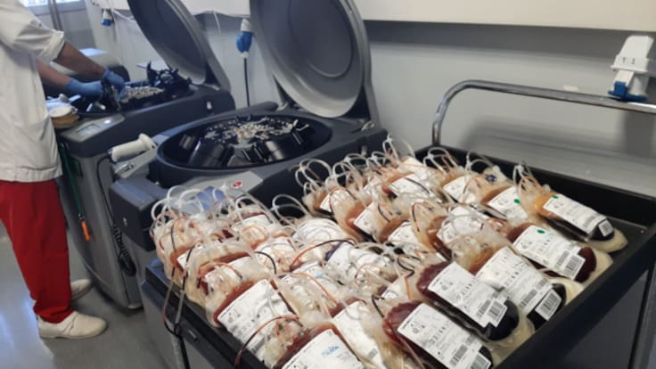 Una "senda de vida": así funciona el Banco de Sangre y Tejidos de Aragón - Hora 14 Aragón (31/03/2024)