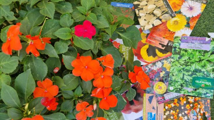 03 abril - Aula Mentor