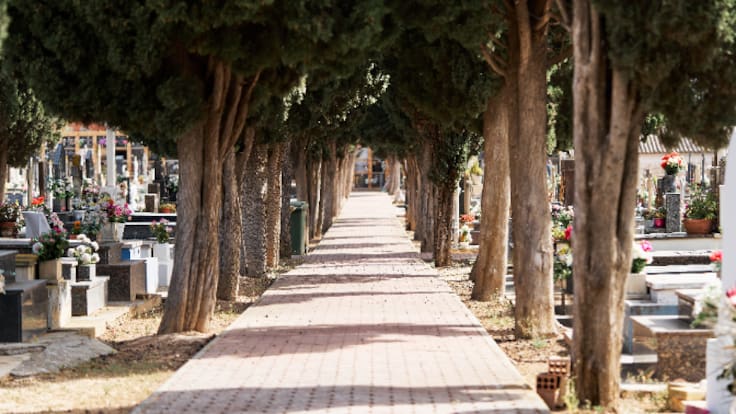 Los Revolucionarios | Una innovadora plataforma online rastrea el mejor precio para un funeral en tu ciudad