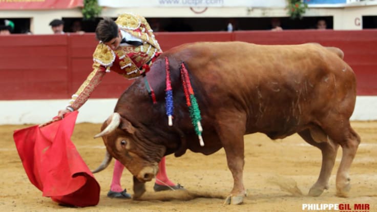 Miguel Ángel Pacheco, el torero de La Línea, en la segunda fase de la Copa Chenel