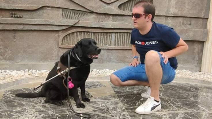 Las personas ciegas piden que no distraigan a los perros guía