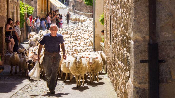 Brieva de Cameros. Guía La Rioja 174 (24/04/2024)