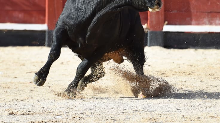 Entrevistamos al alcalde de Valdemoro y al empresario de la plaza