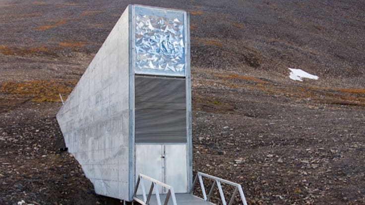 Calabaza totanera, berenjena de Cieza o tomate 'flor de baladre' éstas y otras variedades murcianas sobrevivirán a un cataclismo mundial