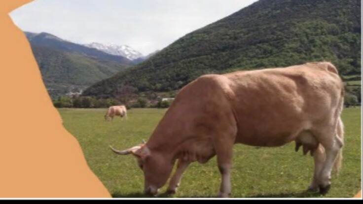 Luis Lascorz pdte de Asap