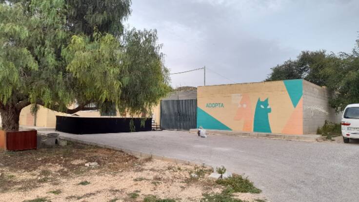 Mari Paz Sanjuan, presidenta de la Protectora de Animales de Villena