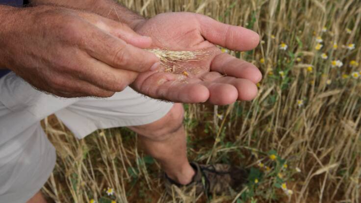 La Rebotica (25/06/2024)