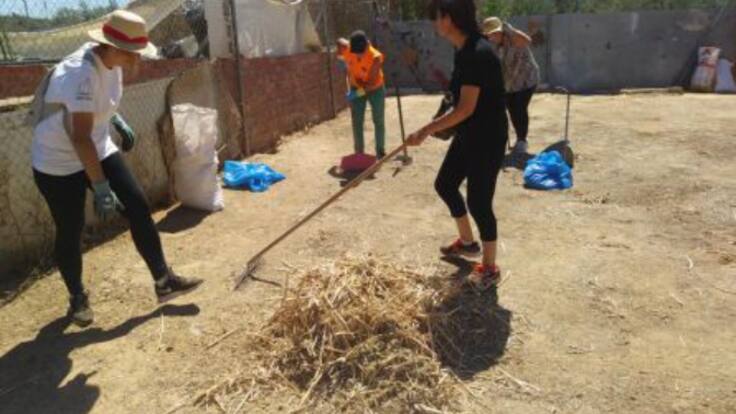 Paloma Fernández (Arconatura). Llamamiento para la captación de voluntariado