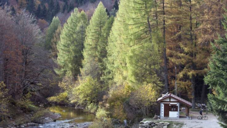 La Selva de Irati: nueva reserva de la biosfera