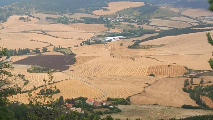 Navarra cosecha más de 950.000 toneladas de cereal en 2024