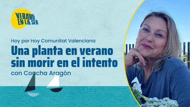 "Una planta en verano sin morir en el intento" con Concha Aragón. Consejos para cuidar las plantas de casa, este verano