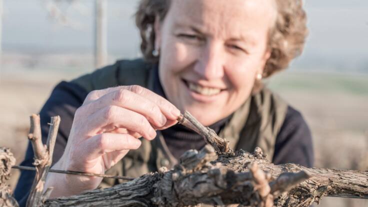 Con una copa de vino en la ser: Inicio de la vendimia en las Bodegas Barbadilloi