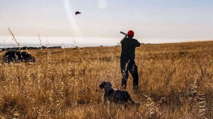 La Rioja comienza hoy la campaña de la media veda de caza, que estará abierta hasta el 7 de septiembre