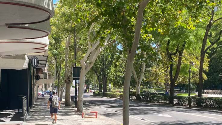 días en los que el ajetreo da paso a la calma en Zaragoza