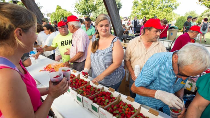 Festa da Fresa: Mónica Díaz, presidenta AAVV Eirís