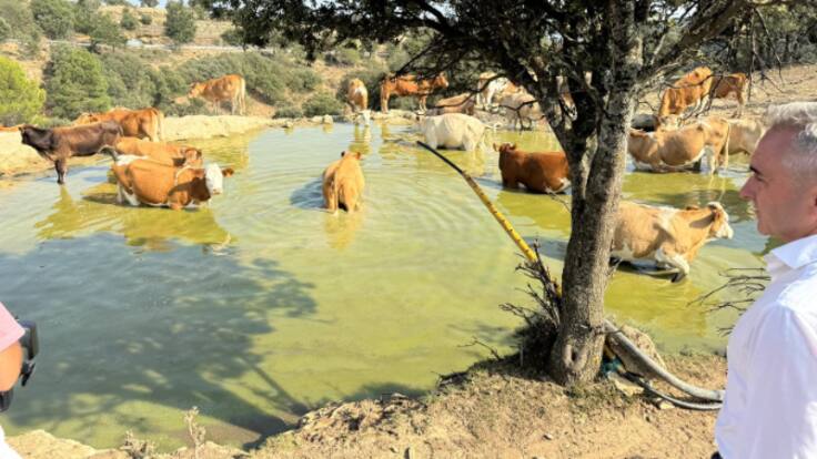 El conseller Miguel Barrachina sobre la aportación de agua para las reses