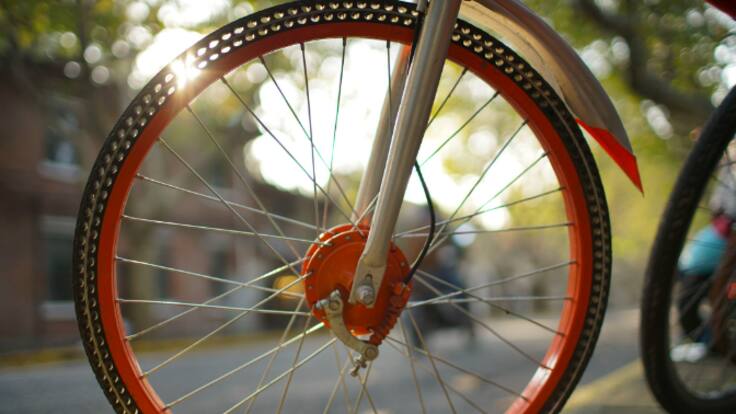 Las asociaciones Ecologistas en Acción y Logroño en Bici han exigido este jueves la restitución del eje ciclista este-oeste eliminado hace un año por el alcalde de Logroño, Conrado Escobar, en su tramo de avenida de Portugal, que había sido financi