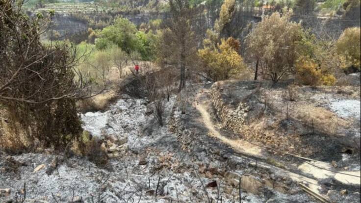 El director del Consorcio de Aguas reclama políticas para evitar el abandono de los cultivos en el interior de la Marina Baixa