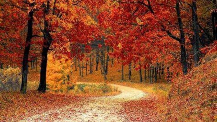 Otoño lluvioso en las Pitiusas y con temperaturas suaves