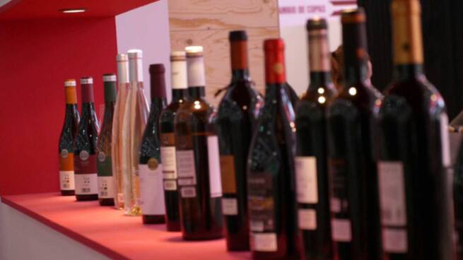 Entre Vinos | En plena vendimia hablamos de previsiones de venta de vino y mosto con el director del Observatorio del Mercado del Vino