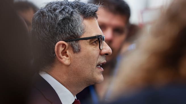 "Hay jardines en los que vale la pena meterse": el análisis de Antón Losada sobre el plan de Acción por la Democracia